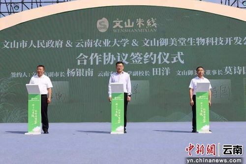 科技賦能傳統(tǒng)美食 云南農(nóng)業(yè)大學(xué)科研助力文山米線產(chǎn)業(yè)升級(jí)紀(jì)實(shí)